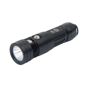 DIVE RITE CX3